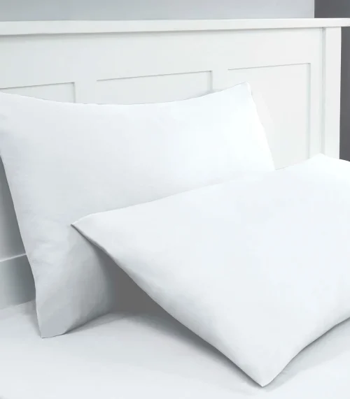 WhatsApp-Image-2024-01-20-at-2.43.43-PM-2